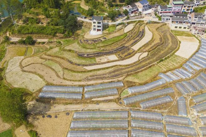 㵲阳河畔常见当地人垂钓、游泳和露营澳门新葡京入口三门滩离镇远古城不远(图5) 㵲阳河畔常见当地人垂钓、游泳和露营澳门新葡京入口三门滩离镇远古城不远(图5)