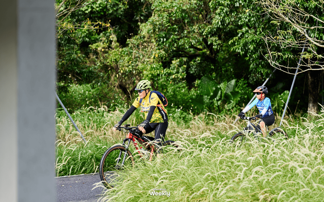 圳最美花海骑行路线·限定开放澳门新葡京入口出发骑行!深(图6) 圳最美花海骑行路线·限定开放澳门新葡京入口出发骑行!深(图6)